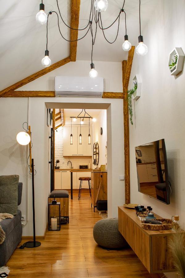 קאמיאנטס - פודיסקי Old Town Loft Apartments מראה חיצוני תמונה